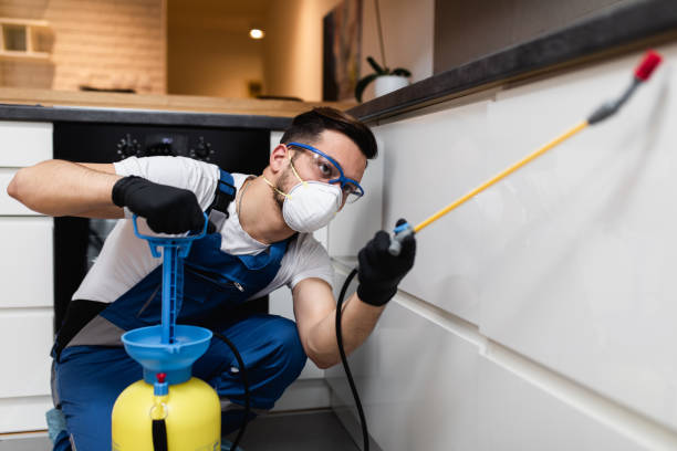 Best Residential Pest Control  in South El Monte, CA