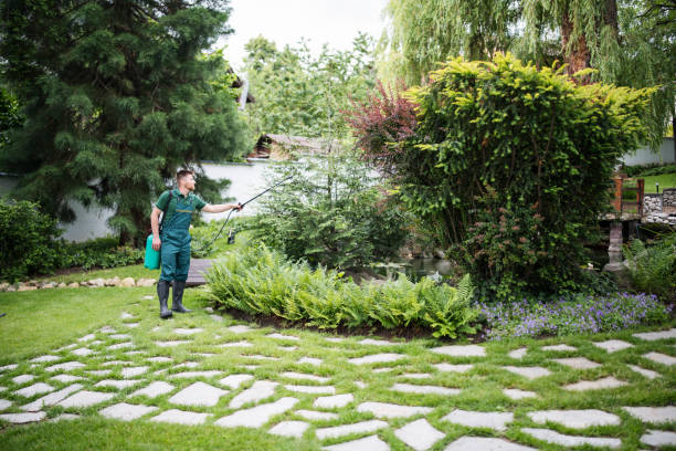 Best Pest Prevention Services  in South El Monte, CA
